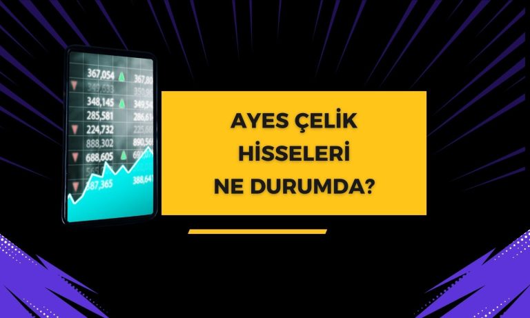 Ayes Çelik duyurdu: Ticaret Sicili Gazetesi’nde yayımlandı