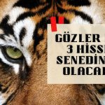 Bugün momentum kazanması beklenen üç hisse açıklandı