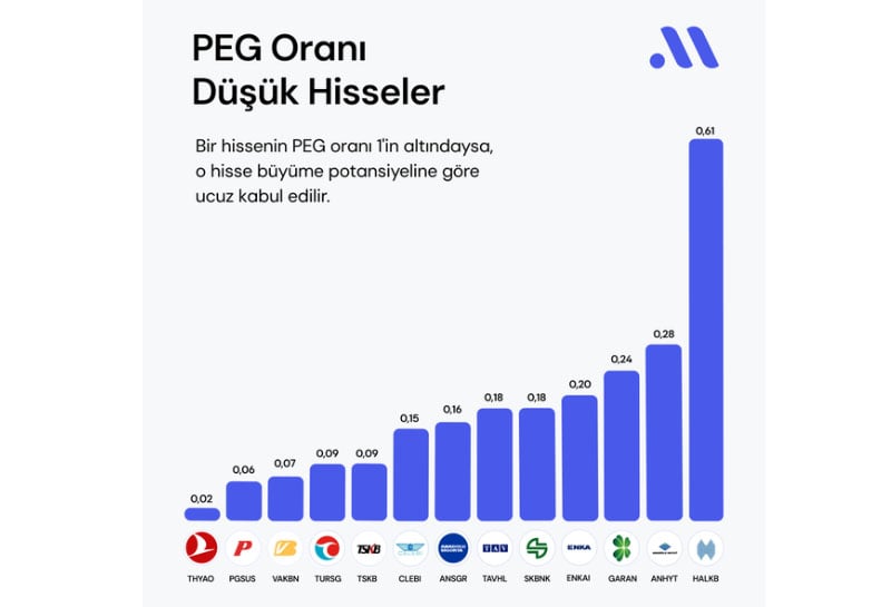 Büyüme potansiyeline göre ucuz kalan 13 hisse senedi