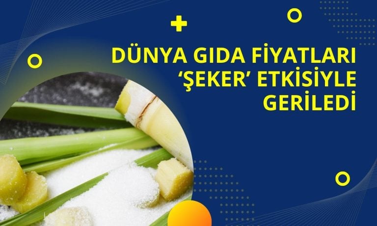 Dünya gıda fiyatları gerilemeye devam ediyor