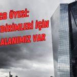 ECB üyesinden temkinli faiz indirimi mesajı!
