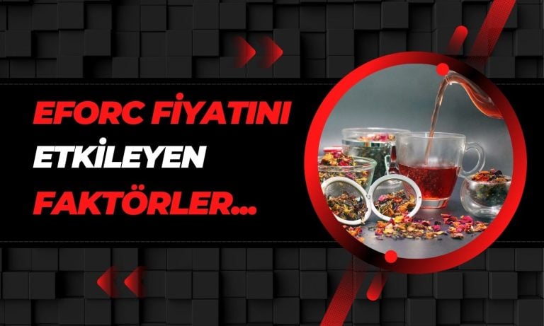 EFORC paylarını etkileyen önemli faktörler açıklandı