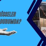 Elite Naturel: Kurutma hatlarında deneme üretimleri tamamlandı