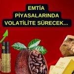 Emtia piyasası için beklentiler: 2025’te hangisi kazandıracak?