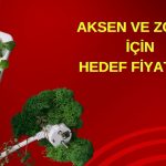 Enerji sektörü için beklenti pozitif: AKSEN ve ZOREN listede!