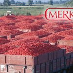 Gıda şirketinden temettü kararı: Kar payı dağıtılmayacak!