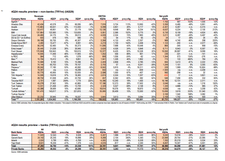 HSBC 4Ç24 Beklentileri