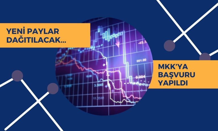 Link Bilgisayar (LINK) pay kaydı için MKK’ya başvuru yaptı