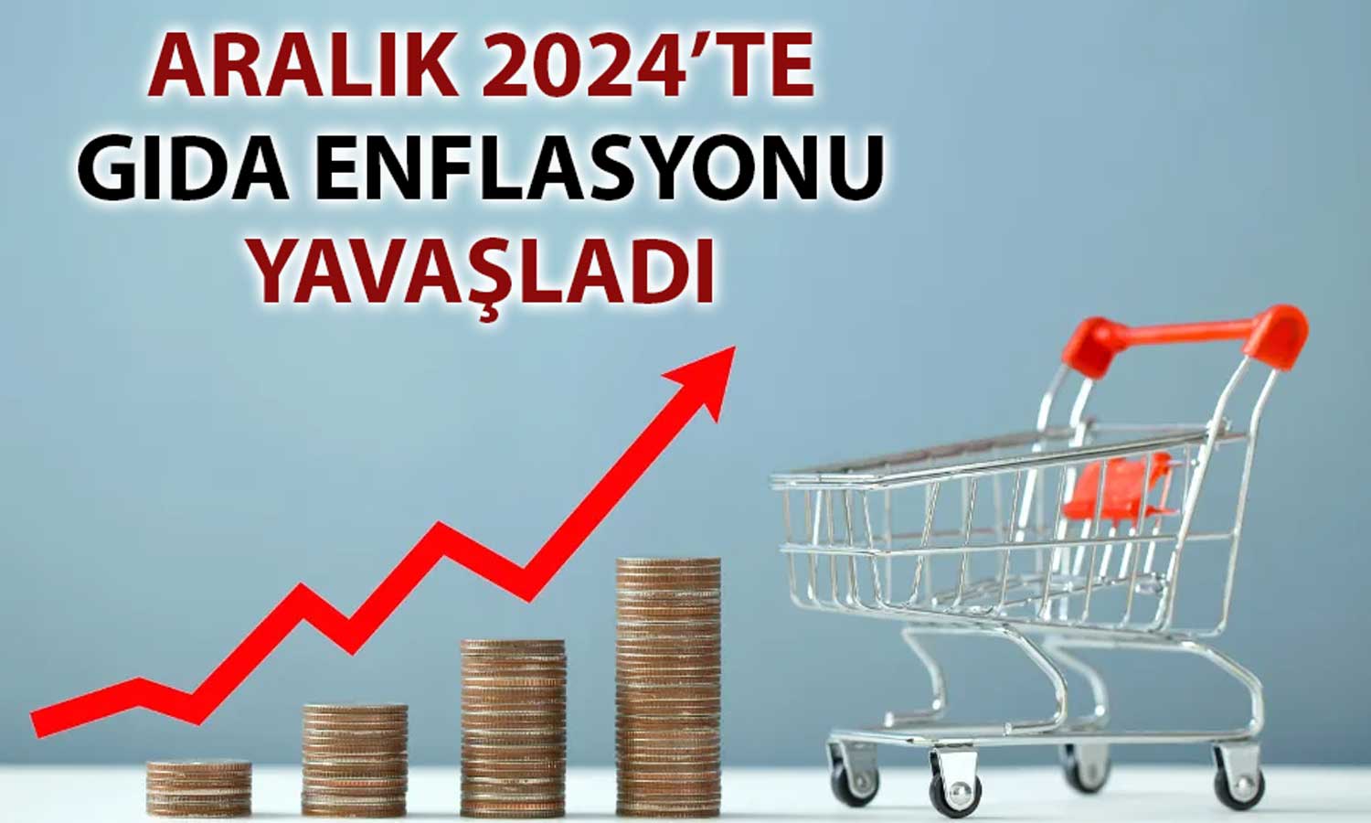 TEPAV’a göre Aralık 2024’te gıda enflasyonundaki artış yavaşladı