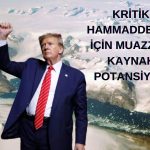 Trump’ın almak istediği Grönland muazzam fırsatlar sunuyor!