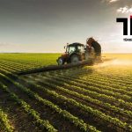 Üretici enflasyonunda yavaşlama Aralık 2024’te sürdü