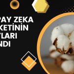 Yapay zeka şirketinden pay alım işlemleri tamamlandı