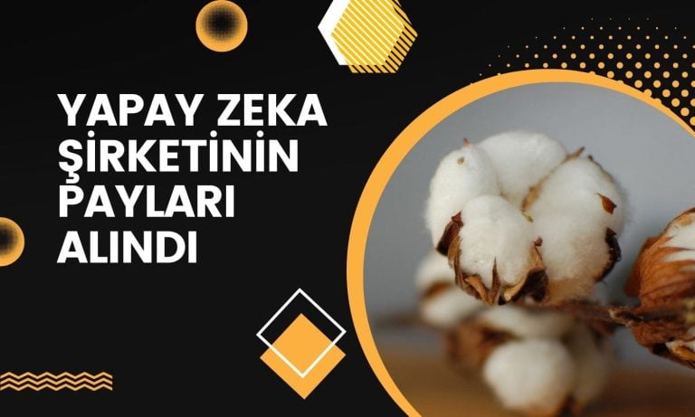 Yapay zeka şirketinden pay alım işlemleri tamamlandı