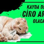 1,1 milyar TL değerli madencilik şirketini 950 milyon TL’ye aldı