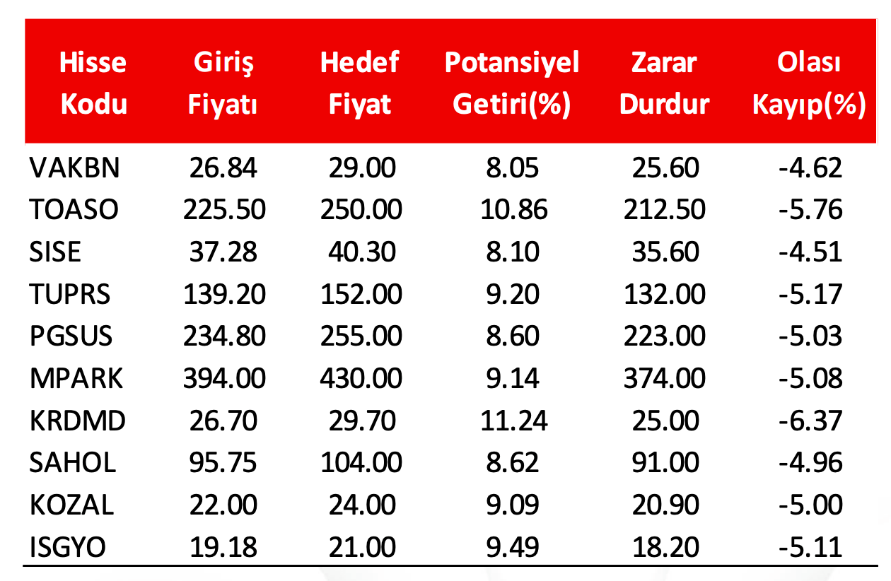 Alnus Yatırım Şubat Hisseleri