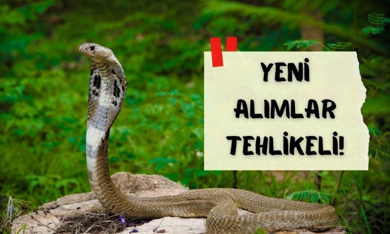 Analiz gösterdi: İnşaat hissesinde yeni alımlar tehlikeli olabilir!