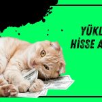 Banka hissesinde yüklü alım yapıldı: Oran yüzde 31’e yaklaştı