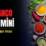 BIGCH 4Ç24 tahmini: Hedef fiyat 52,46 TL