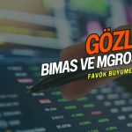 BIMAS ve MGROS beğeniliyor: FAVÖK büyümesi cazip