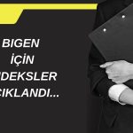 Birleşim Grup Enerji (BIGEN) için endeksler açıklandı!