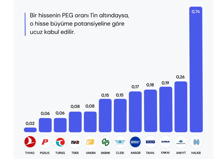 Büyüme potansiyeline göre ucuz kalmış 12 adet hisse