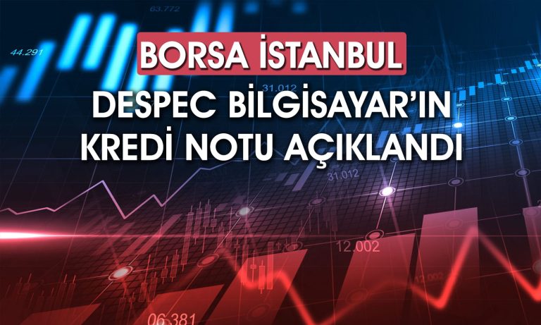 Despec Bilgisayar (DESPC) için avantajlar ve riskler sıralandı