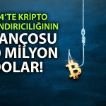 Kripto yatırımcıları dolandırıcıların hedefi oldu: Kayıp büyük
