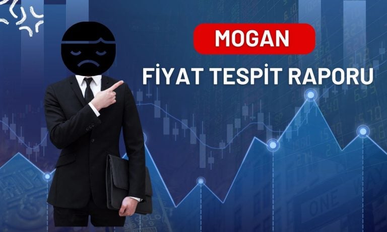 Mogan Enerji halka arz fiyatına göre yüzde 23,2 düştü