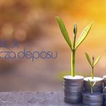 Selçuk Ecza’nın (SELEC) temettü kararı olumlu! Tarih netleşti