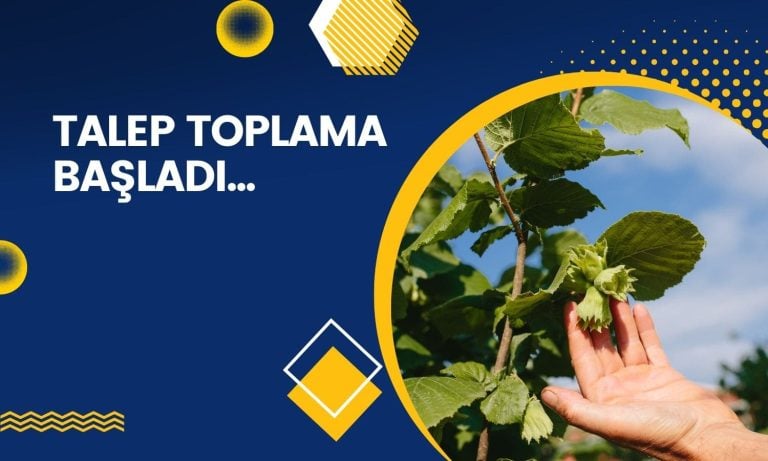 Talep toplama başladı, BALSU için analist görüşü yayımlandı