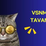 Vişne Madencilik ruhsat aldı: Hisseler tavan!