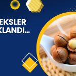 Yarın işleme başlıyor: Borsa İstanbul’dan endeks açıklaması