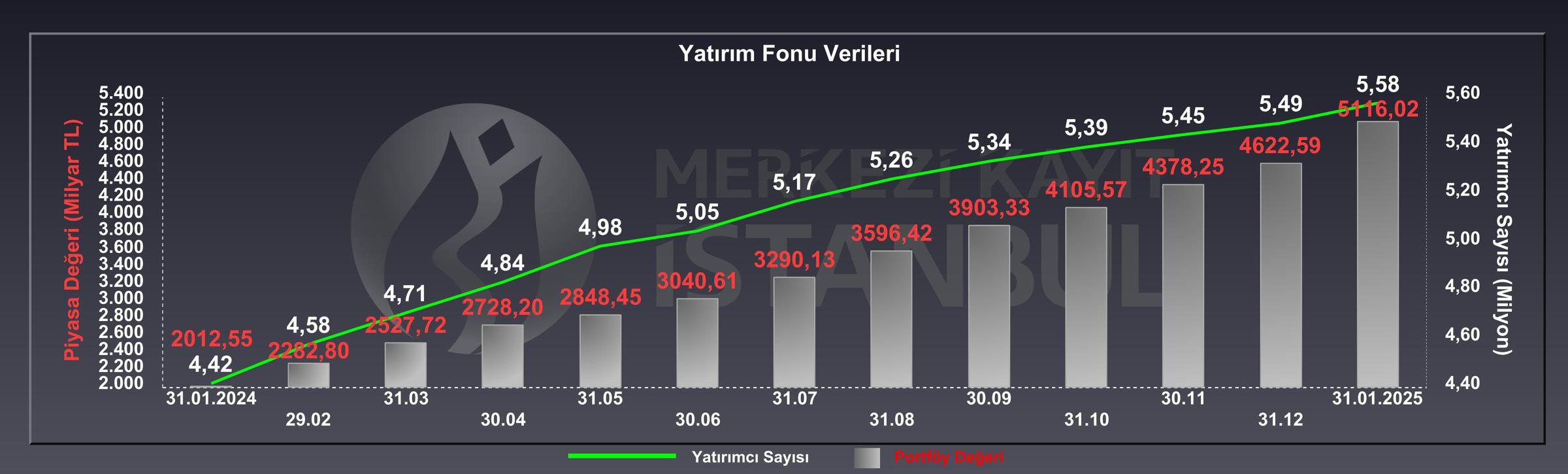 Yatırım fonu verileri