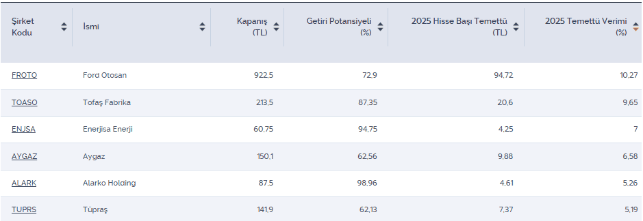 Yüksek potansiyele ve temettü verimine sahip 6 şirket