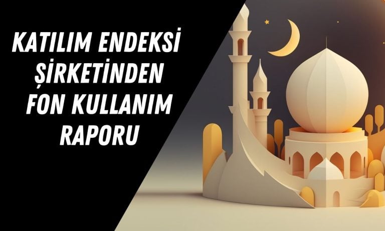 Altınay Savunma fonunda kalan tutar nasıl nemalandırılacak?