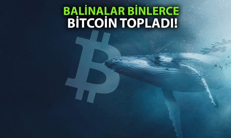 Bitcoin balinaları düşüşü fırsata çevirdi: 200 bin BTC aldılar