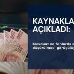 Bloomberg: Fon ve mevduatta stopaj düşürme görüşülüyor