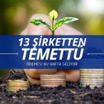 Bu hafta 13 şirket temettü ödemesi yapacak