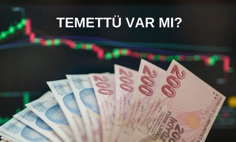 Burçelik Vana 2024 kârını dağıtacak mı?