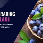 Dct Trading’den (DCTTR) Türkiye’de modern tarım hamlesi