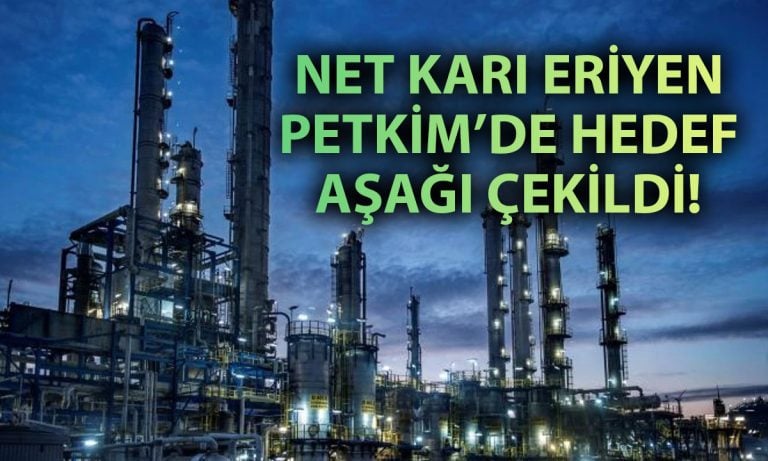 Finansalları gerileyen PETKM için hedef fiyat düşürüldü