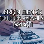Girişim Elektrik 2024 bilançosu: Net kar yüzde 36 yükseldi