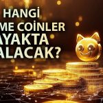 Meme coinler geri dönecek mi? CoinGecko’dan kritik değerlendirme