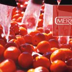 Merko Gıda ve Gulf Sigorta arasındaki hukuki süreçte yeni gelişme