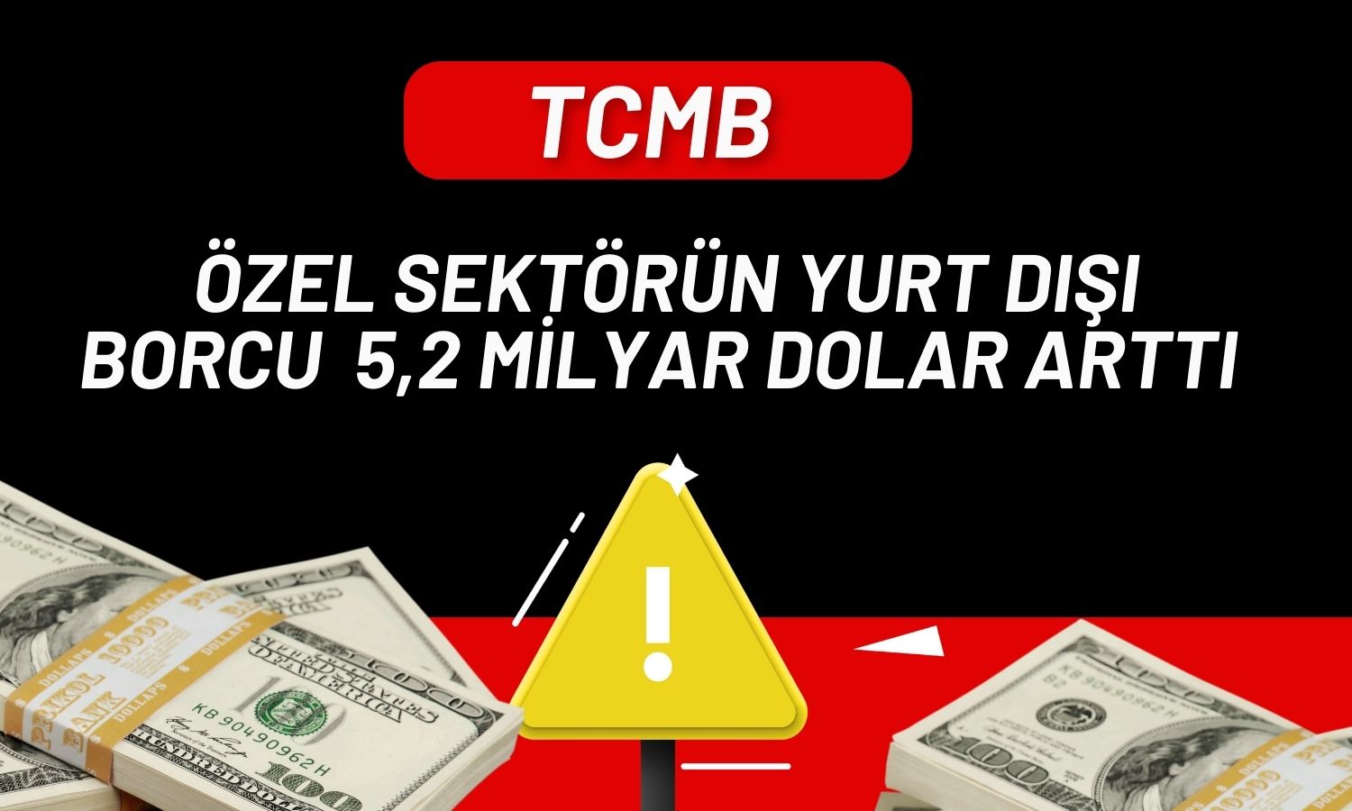 Özel sektör kısa vadede en çok TL cinsinden borçlandı!