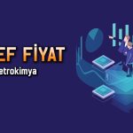 Petkim (PETKM) hisselerinde 25,42 TL kapısı açık