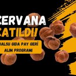 Son halka arz Balsu da pay geri alım programı başlattı