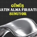 Ünlü stratejiste göre gümüş 40 dolara yükselebilir!
