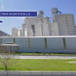 Vişne Madencilik, Adana’da yeni maden ruhsatı aldı