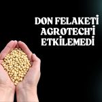 Agrotech duyurdu: Don felaketinden etkilenmedi